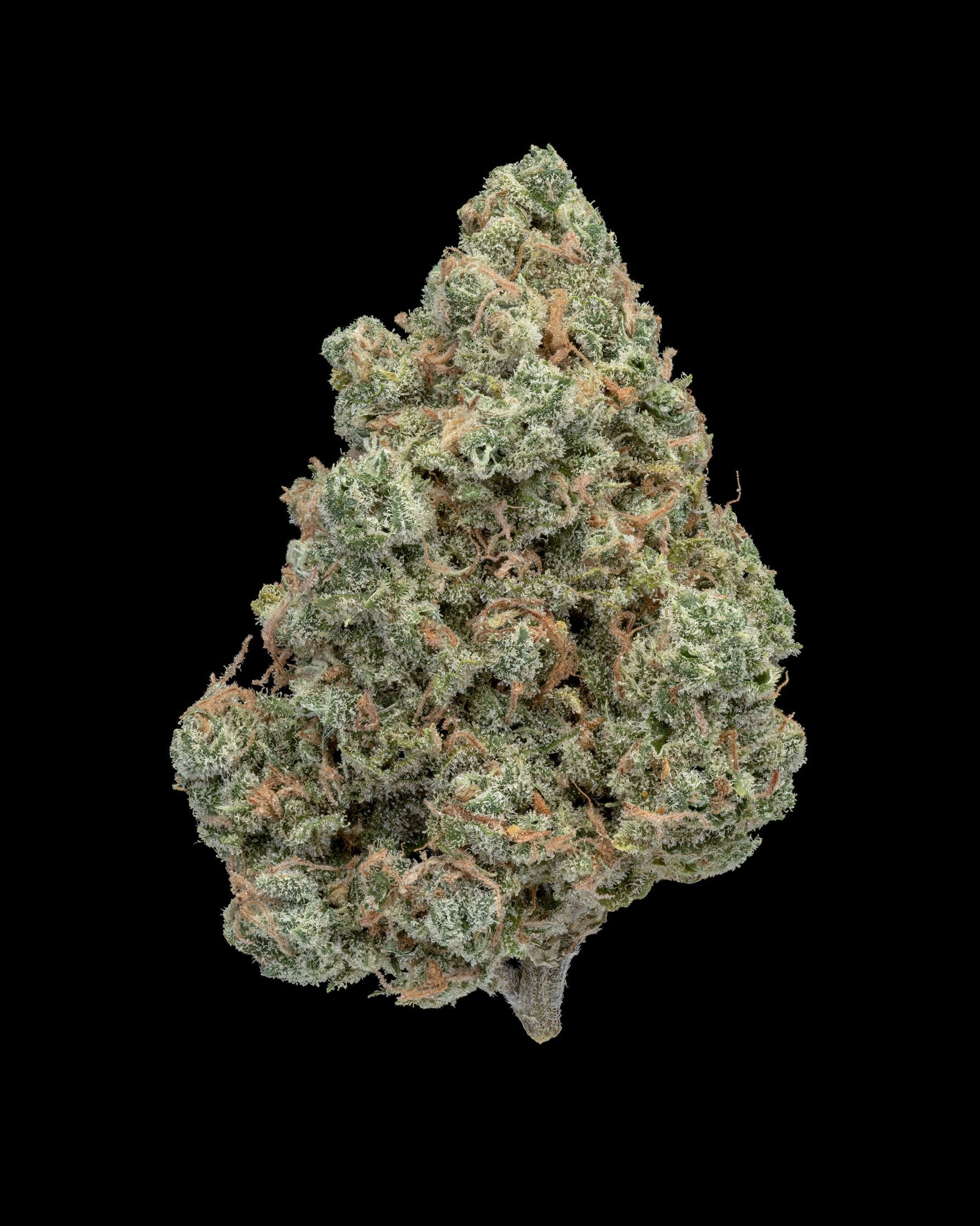 True OG 34.81% THC tier 1 (I)