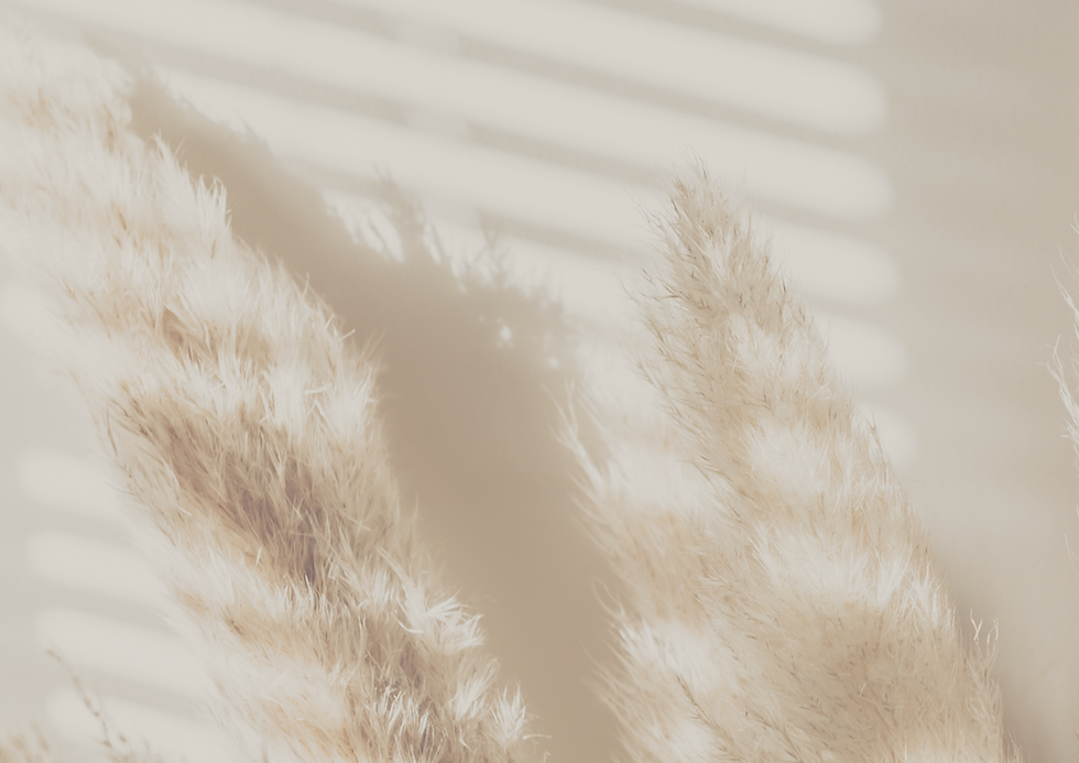 Bristol Brow Embroidery Website (297 × 210mm)-2.png