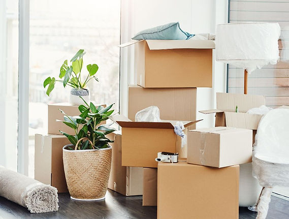 Untitled design (1).jpg