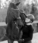 Annie Phillips Dressage training. Performace horse. Equine athlete