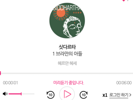 AI 성우는 어떻게 고전의 깊이를 담아내는가 : 『싯다르타』 오디오북 제작기