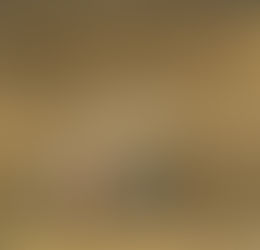 스튜디오 여름 AI 오디오북 제작