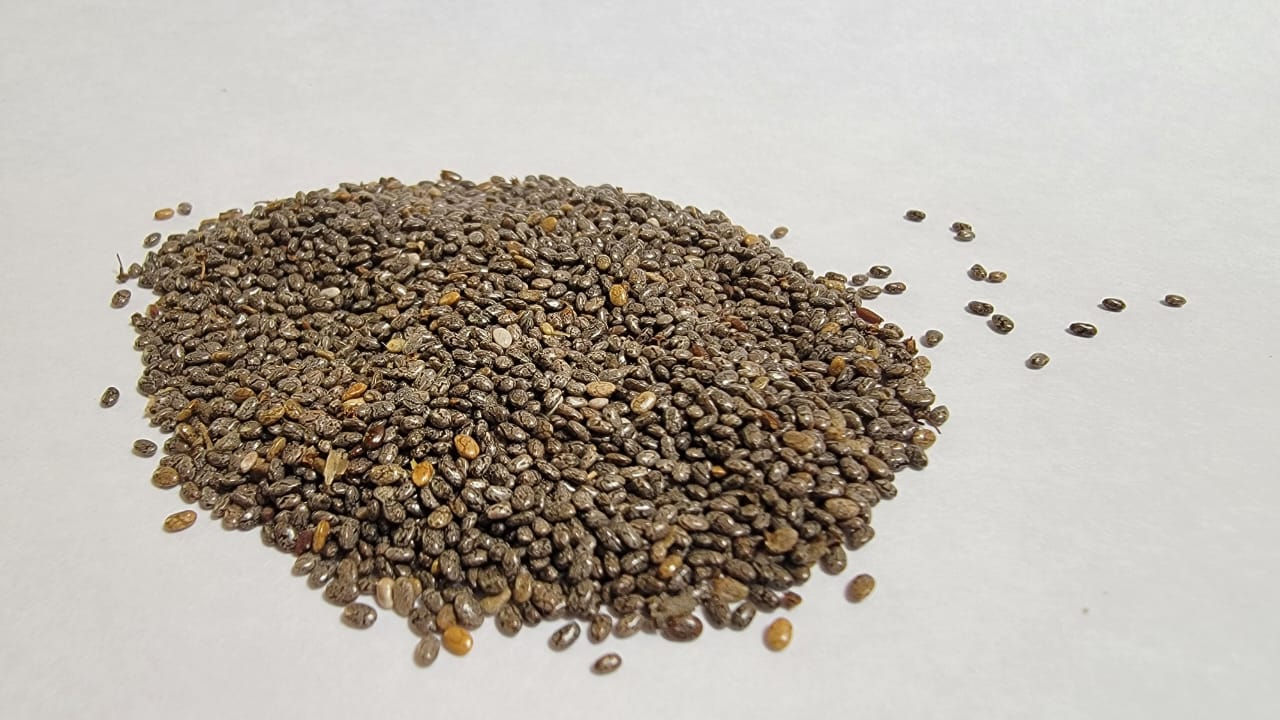 Chía (Salvia hispanica L.)