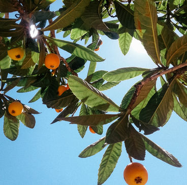 Get Involved Valencia - Yoga Retreat