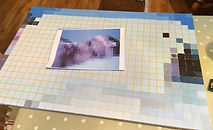 Lara build 2 web flip.JPG