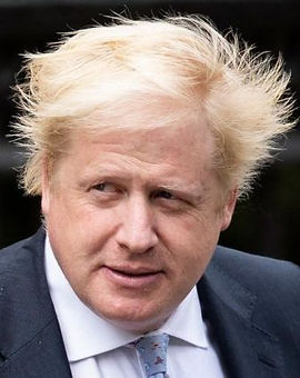 Boris in pro web.jpeg