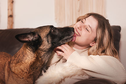 Lächelnde, junge Frau wird einem einem Malinois Hund abgeleckt.