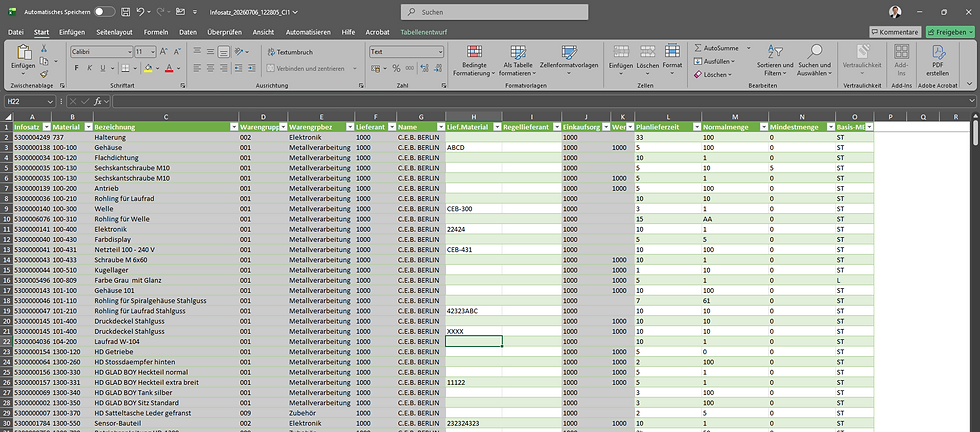 Abbildung 1: Die Excel-Datei zur Pflege von Stammdaten ist flexibel anpassbar