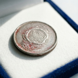 Currency Collector's Delight