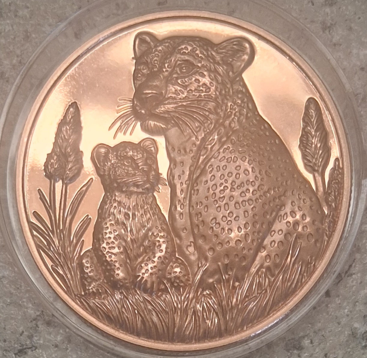 COUGAR & CUB COIN - 1 TROY OZ .999 FINE COPPER 3D HIGH-RELIEF HIGH-QUALITY -LF