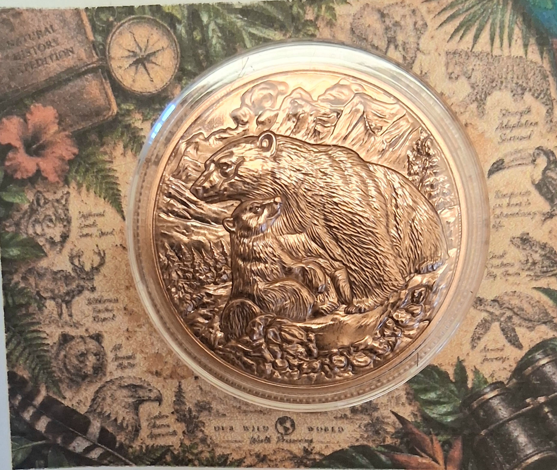 20 BEARS & CUB COINS: 1 TROY OZ .999 FINE COPPER GREAT CONTOUR 3D HI-RELIEF