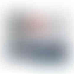 Staubschutztür mit Reißverschluss aus PE-Folie im Beutel