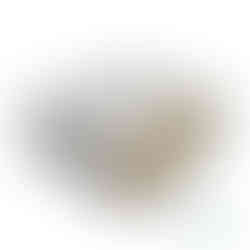 Microfaser-Farbwalzen 10 cm im 10er-Pack