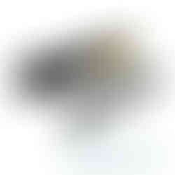 Tajima Razer Black Cutterklingen 18 mm im schwarzen Spender