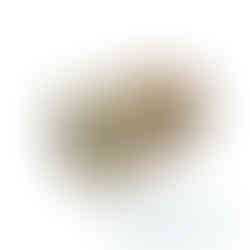 Abdeckpapierrolle mit Feinkrepp-Klebeband – Premiumqualität für präzise und saubere Farbkanten