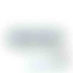 Polyamid Plus Farbwalze 25 cm für professionelle Anstriche