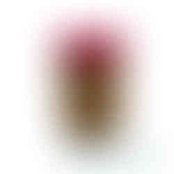 Softtape-Masker in Diamant-Qualität – sauberer Farbabschluss auf glatten und strukturierten Flächen