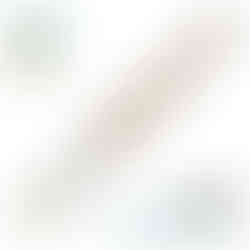 Schrägstrichzieher mit langem Holzgriff – perfektes Werkzeug für präzises Malen