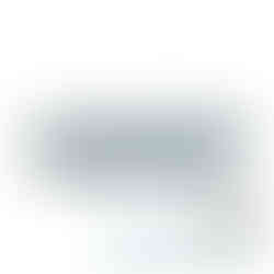 Polyamidwalze 25 cm für Fassaden und raue Flächen