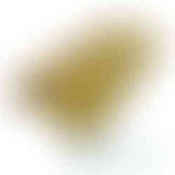 Abstauber mit abgeschrägten Borsten – Profi-Werkzeug zur feinen Staubentfernung vor dem Streichen