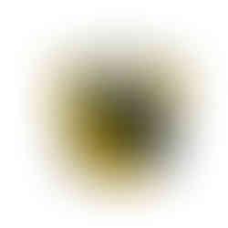 Selbstklebendes Warnband in Schwarz-Gelb – ideal für temporäre Absperrungen und Bodenmarkierungen