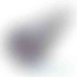 Abdeckvlies 220 g/m² mit PE-Folie auf Rolle