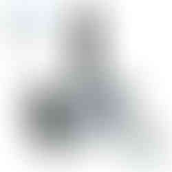 Profi Deckenbürste für Tiefgrund – Made in Germany