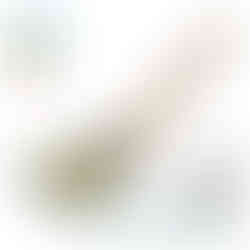 Gebogener Heizkörperpinsel mit rostfreier Zwinge und hellem Kunststoffbesatz – Profiqualität für Detailarbeiten