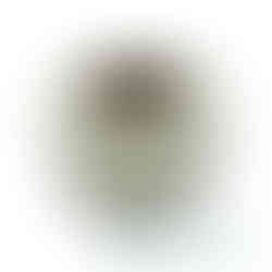 Gitterband 48 mm aus Glasfaser, 20m Länge – für Trockenbau