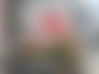 恭喜 興發餐廳 火炭店 駿業宏開!