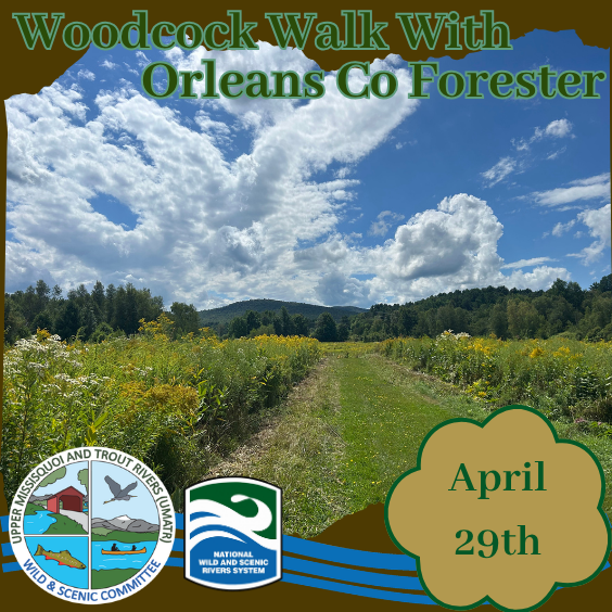 Woodcock Walk in Orleans County