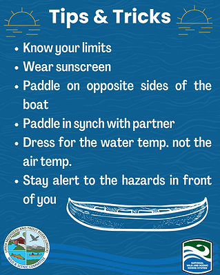 paddling basics .png
