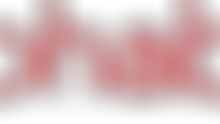 4분기 실적 발표 후 알파벳 급락이유와 향후 전망(GOOG)