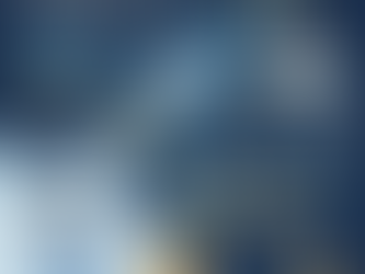 800조 굴리는 천재들의 비밀 일기장: 그들이 올해 초 '풀매수'한 것은? (BofA-Fund-Manager-Jan)