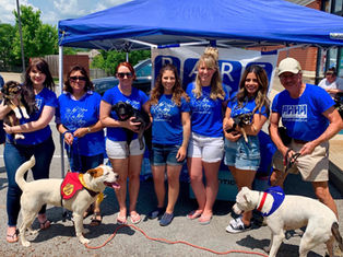 The Future of Live Adoption & Fundraising Events