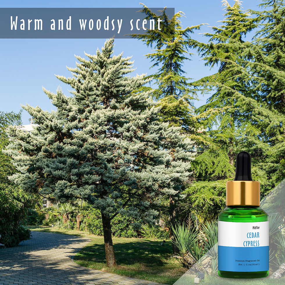 Thumbnail: MitFlor Cedar Cypress Fragrance Oil-30ML