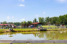 5N0A3035.jpg