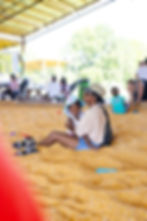 5N0A3055.jpg