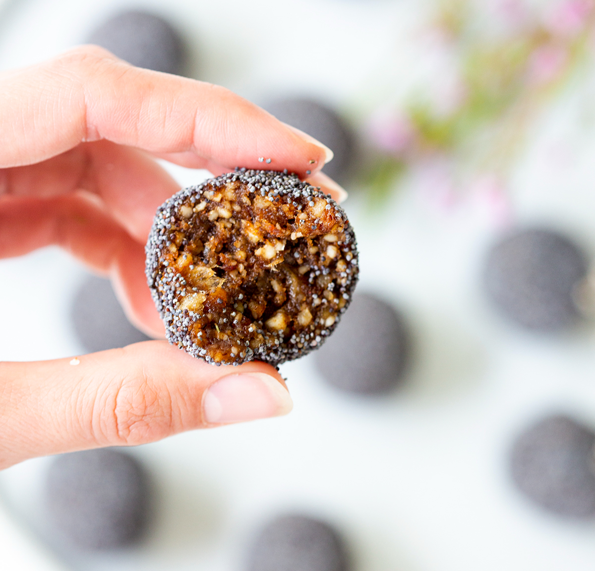 Kitchen Remedy Coffee Walnut Protein Ball with poppy-seed coating and raw walnut-date centre