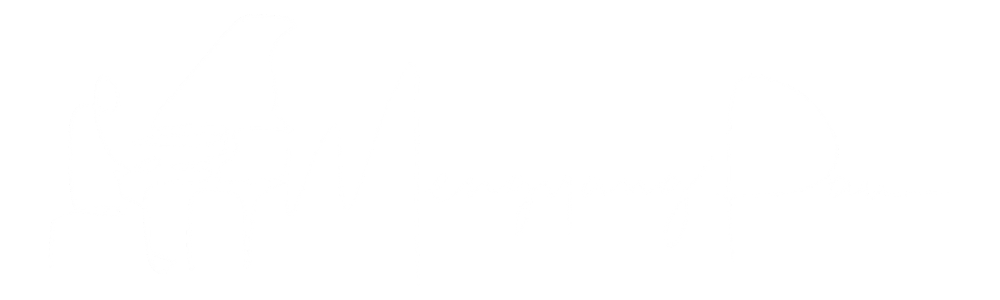 Mengyang-Pan_no-bg-black.png