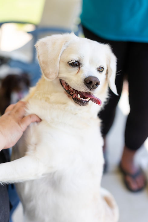 PAWS52-RAWImages-11.jpg