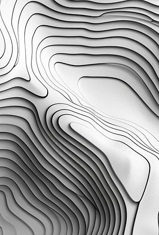 What are Contour Lines in Art_ Understand and Master in 2025 - Artcorvibes.jpg