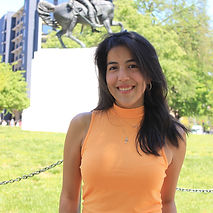 Account Circle Icon.png