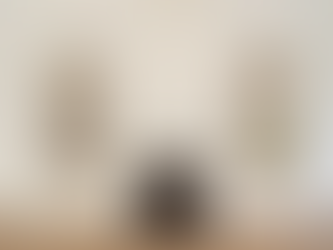 Gut renovation of a Park Slope brownstone