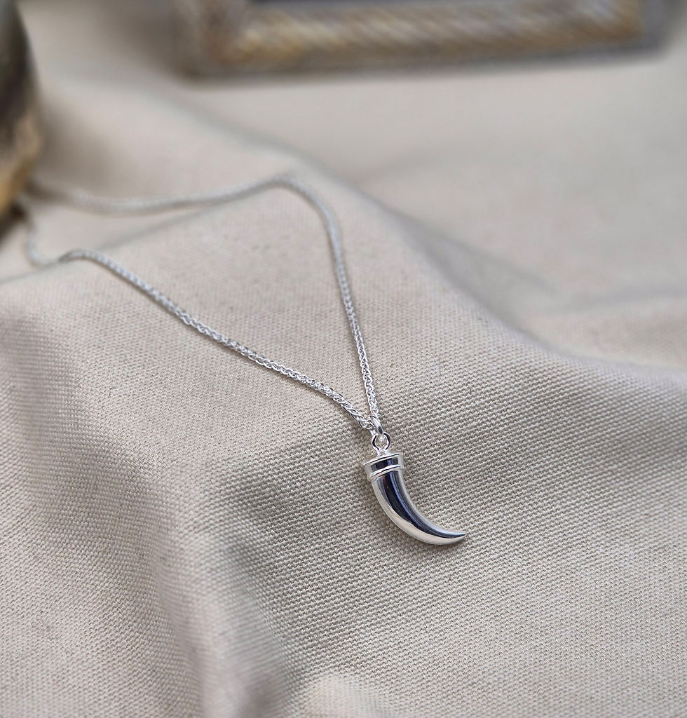 Miniature : Collier chaîne argent et pendentif griffe
