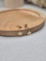 Miniature : Boucles étoiles et nacre- Acier inoxydable