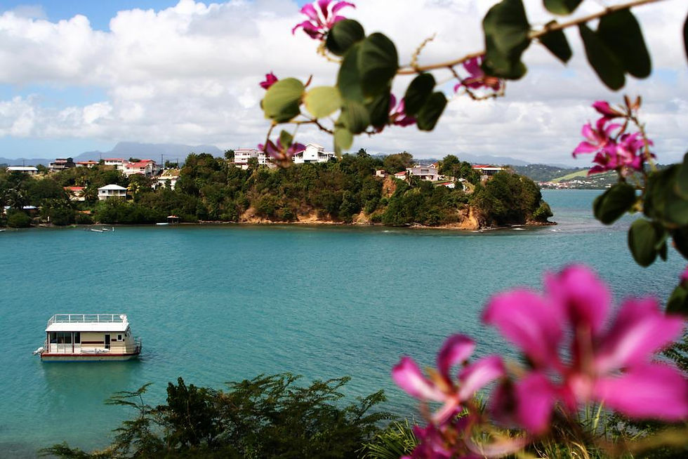 Baie de Martinique.JPG