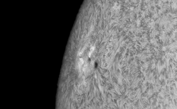 202207120653 L130HADS B5X AR3057