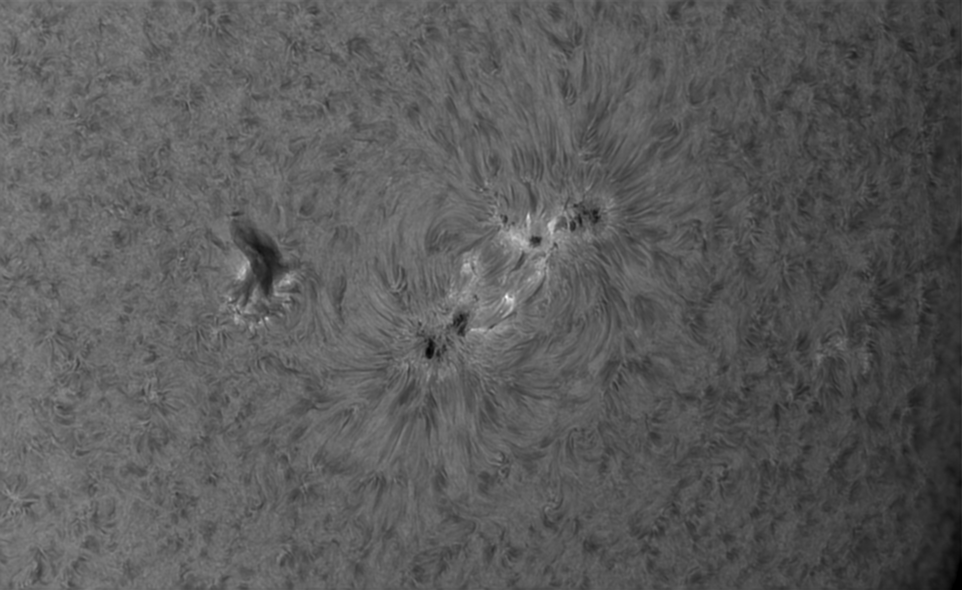 2020 10 28 1338 Zone active AR2778 H-alpha