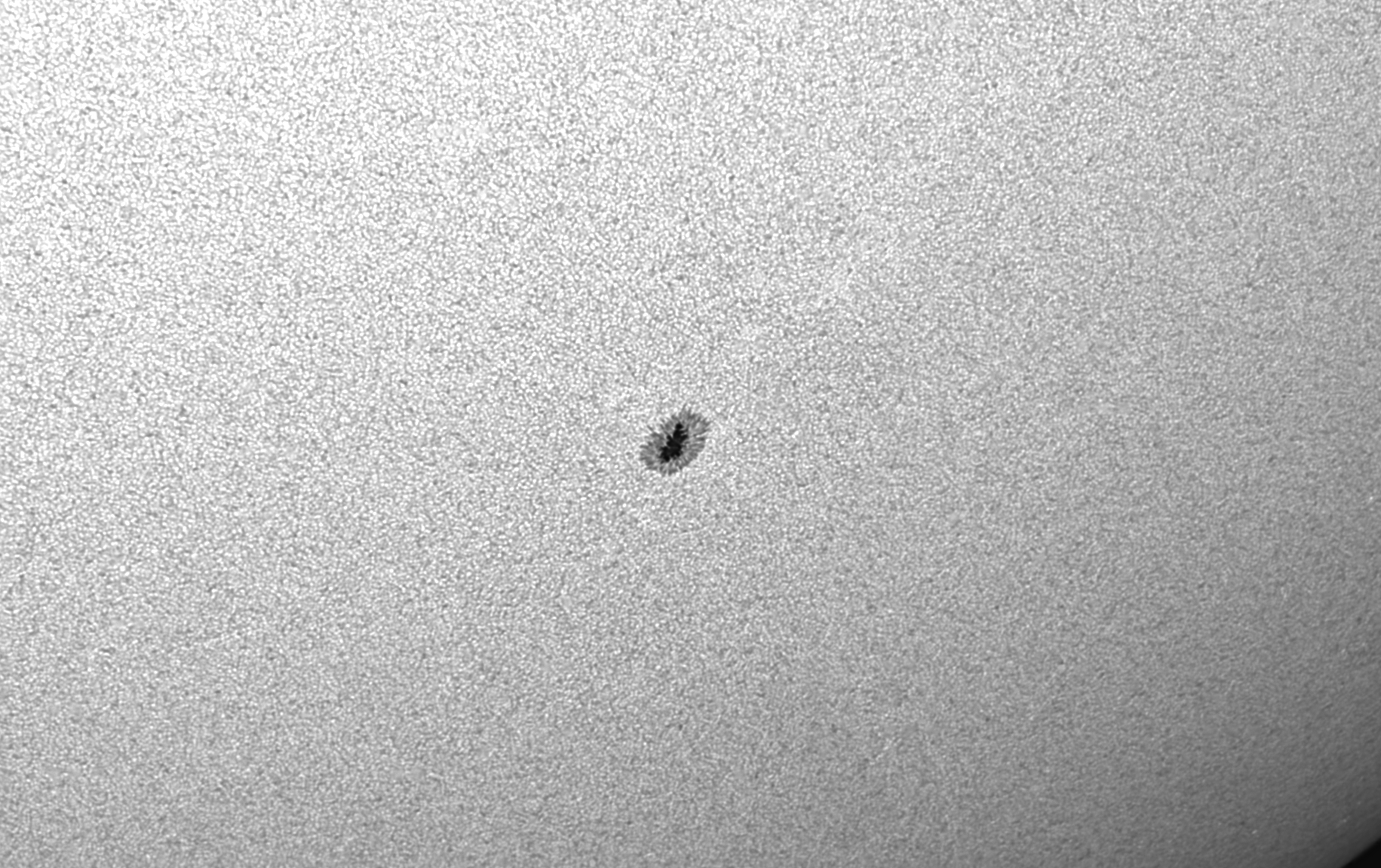2020 07 30 0949 AR2767